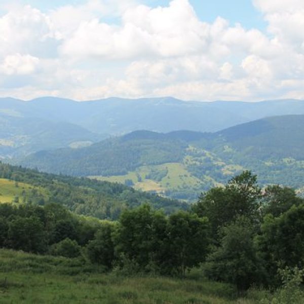 Foulées du souvenir