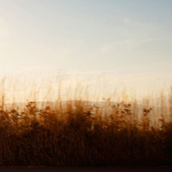 correr todos los dias