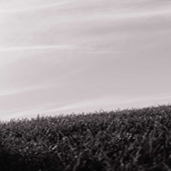 resultados visibles blog